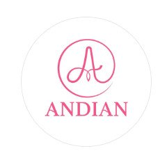 Logo andian.id