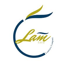 Logo PT. Lambang Manunggal Antar Saudara