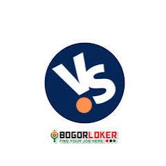 Logo VISUAL STORY