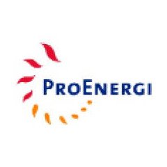 Logo PT. Pro Energi